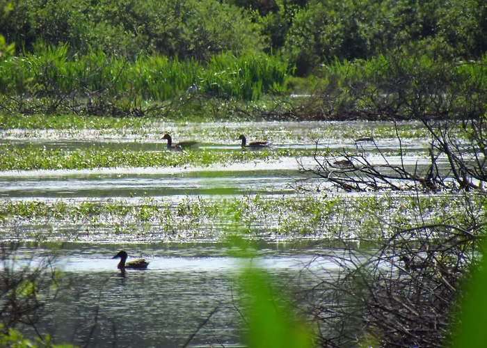 Kompleks wypoczynkowy Ow Podczele Ii Kołobrzeg
