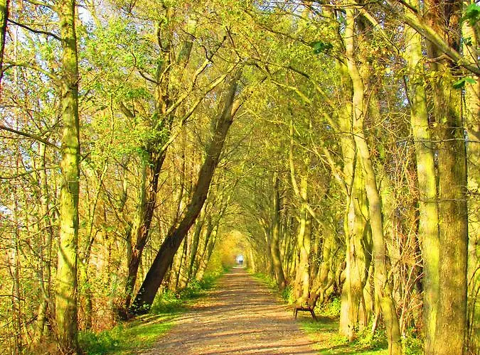 Ow Podczele Ii Kompleks wypoczynkowy *