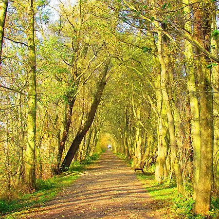 Ow Podczele Ii База отдыха *