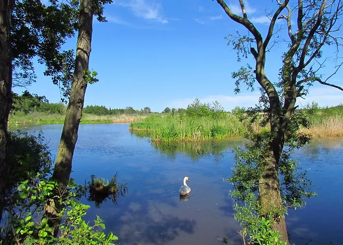 Ow Podczele Ii Prázdninový areál