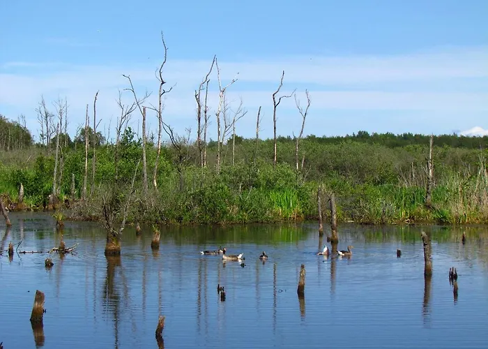 Ow Podczele Ii 科沃布热格